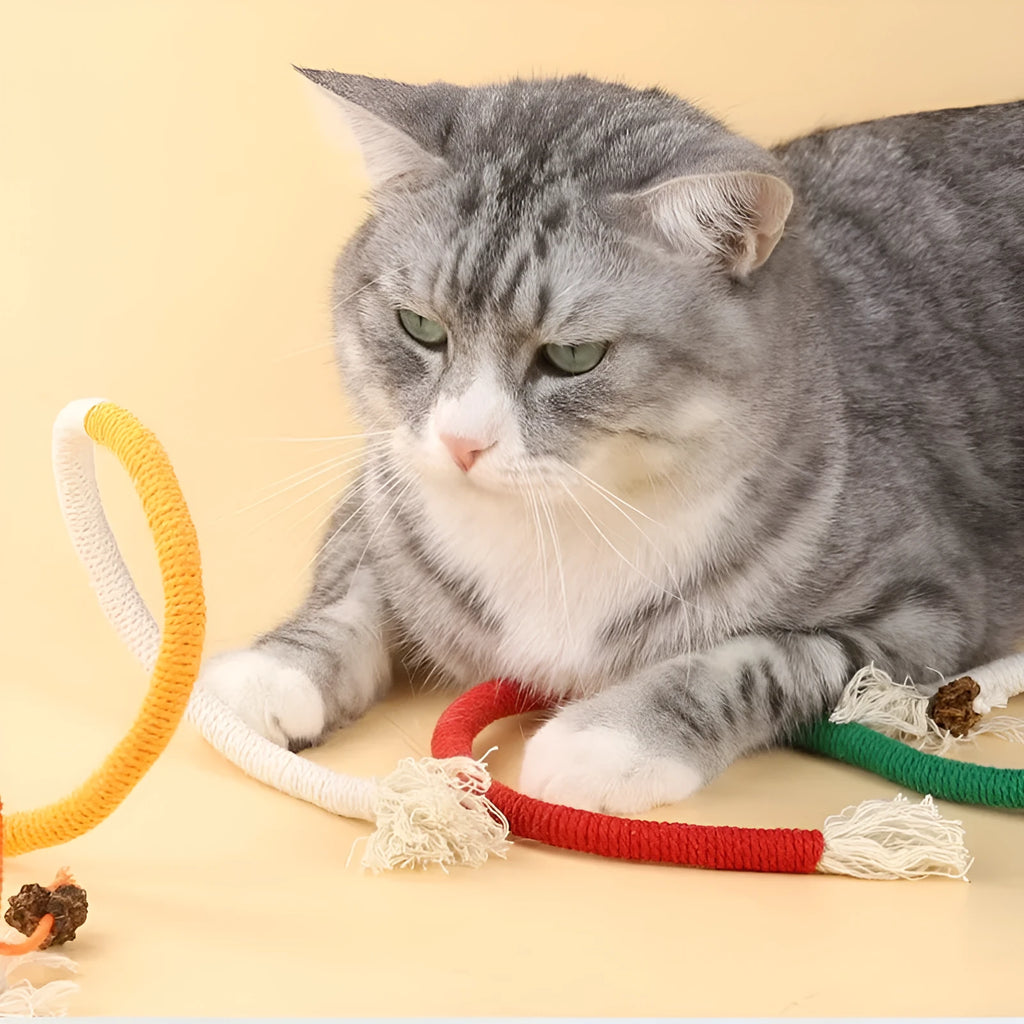 Cotton thread cat teaser stick bite rope toy in full orange, absolute purple or traffic lights, single pack