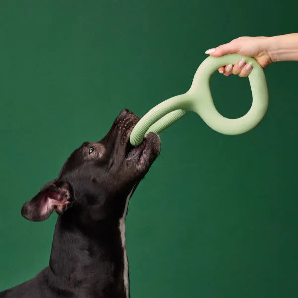 Light green rubber pet bite pull toy shown as a single-piece dog tug toy available in 22.8cm and 28cm sizes.