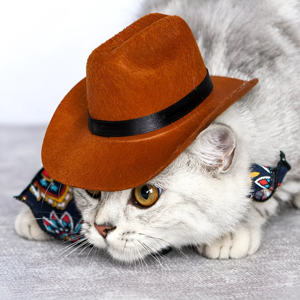 Pet cat western straw cowboy hat in brown, non-woven fabric, three sizes available