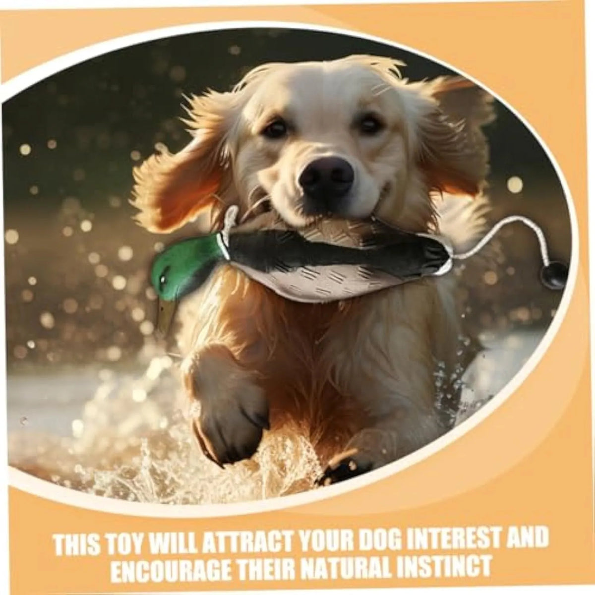 Green no-stuffing duck dog toy made from EVA, 35 cm x 10.5 cm x 8 cm, with quacking sound for chewing and training.