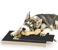Wooden dog nail scratch board with treat drawer and non-slip pads on floor