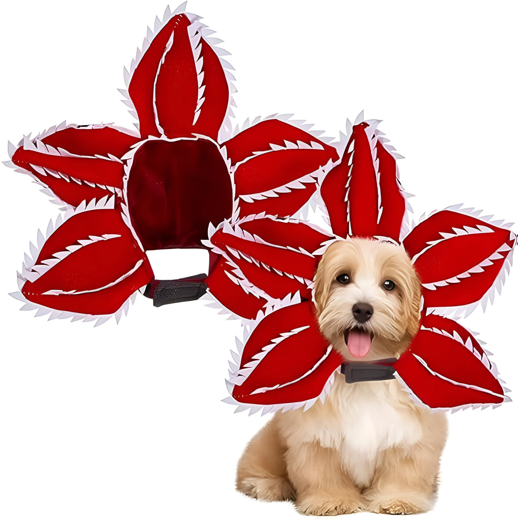 Dog wearing Halloween demon headband costume with chomper teeth and pink flower decoration
