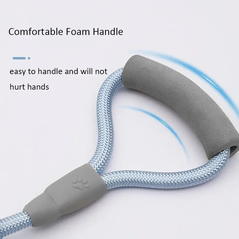 Blue double dog leash for two small dogs with a soft foam handle and metal clips.
