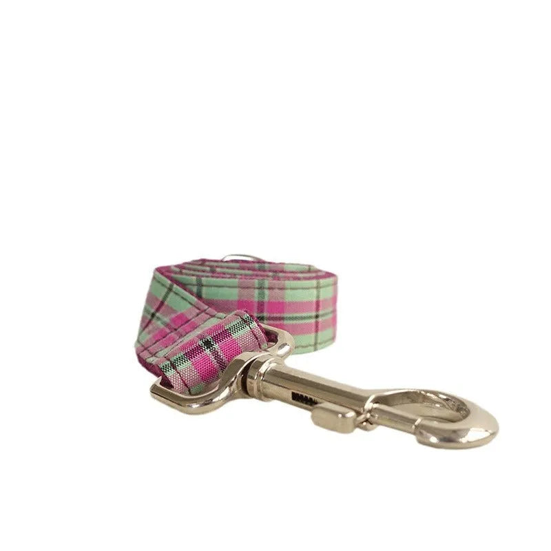 Mint green integrated dog collar and leash set with adjustable sizing