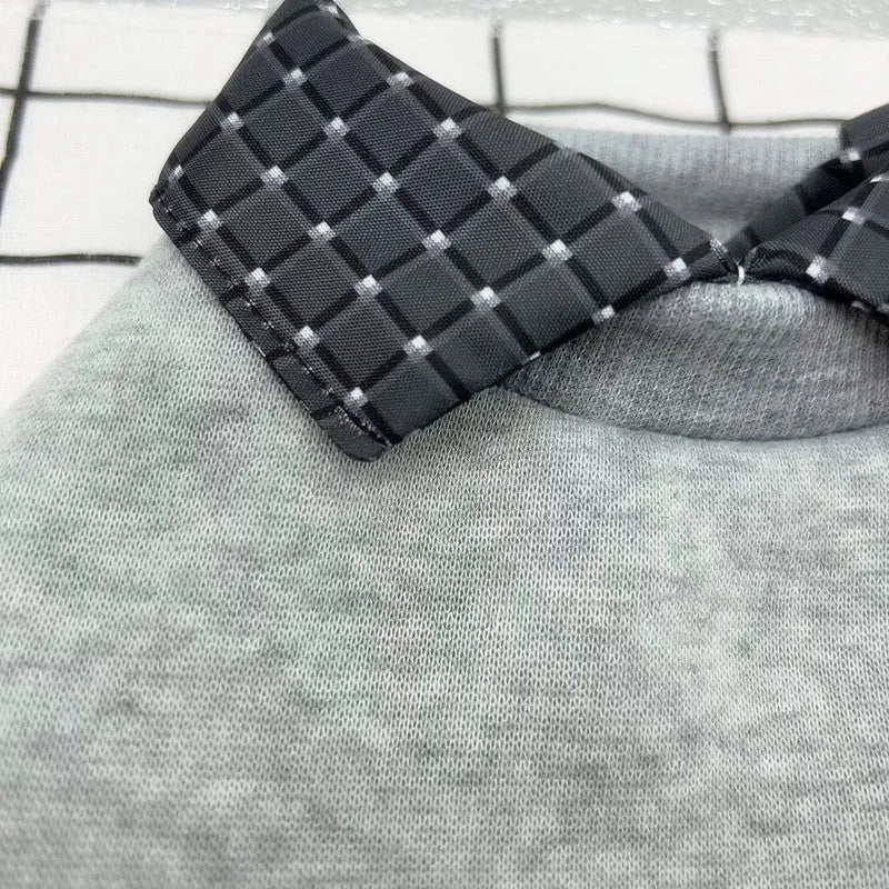Two-piece grey dog sweater with detachable collar hoodie on canine model showing adjustable design