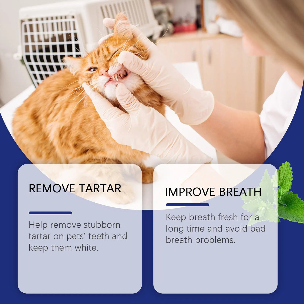 40g pet teeth cleaning powder tub, 5x5x4.9cm, for dog and cat teeth cleaning and stain removal