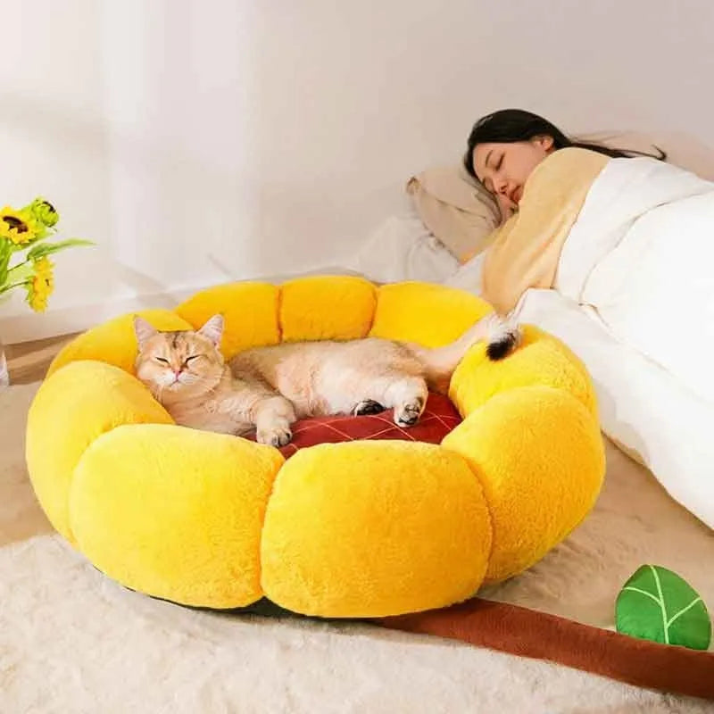 Soft PV velvet cat nest mat pet bed with removable cover in sunflower, dinosaur, or chinchilla patterns.