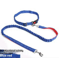 Reflective elastic dog leash with 2.5cm nylon sling in blue and red two-tone colour combination