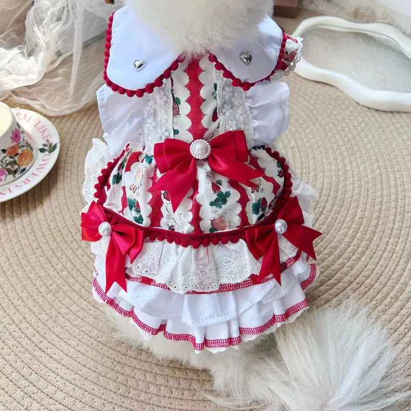 Small white dog wearing a white rabbit skirt princess style outfit with layered frills.