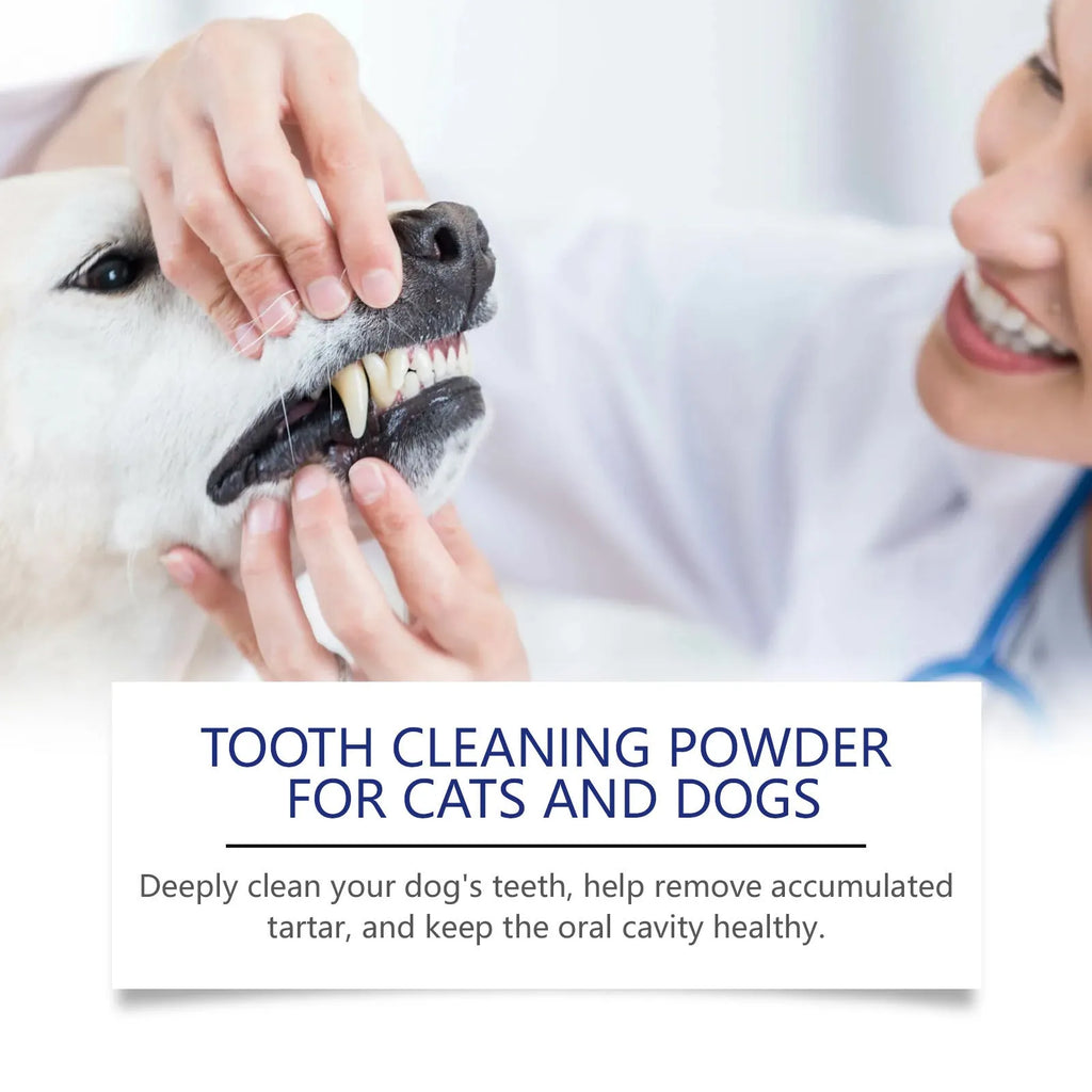 40g pet teeth cleaning powder tub, 5x5x4.9cm, for dog and cat teeth cleaning and stain removal