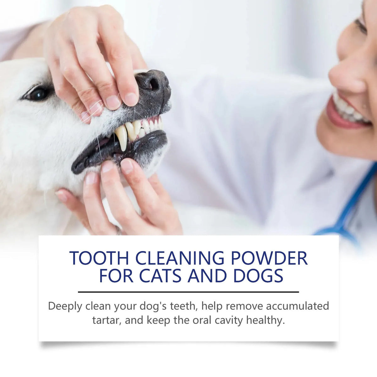 40g pet teeth cleaning powder tub, 5x5x4.9cm, for dog and cat teeth cleaning and stain removal