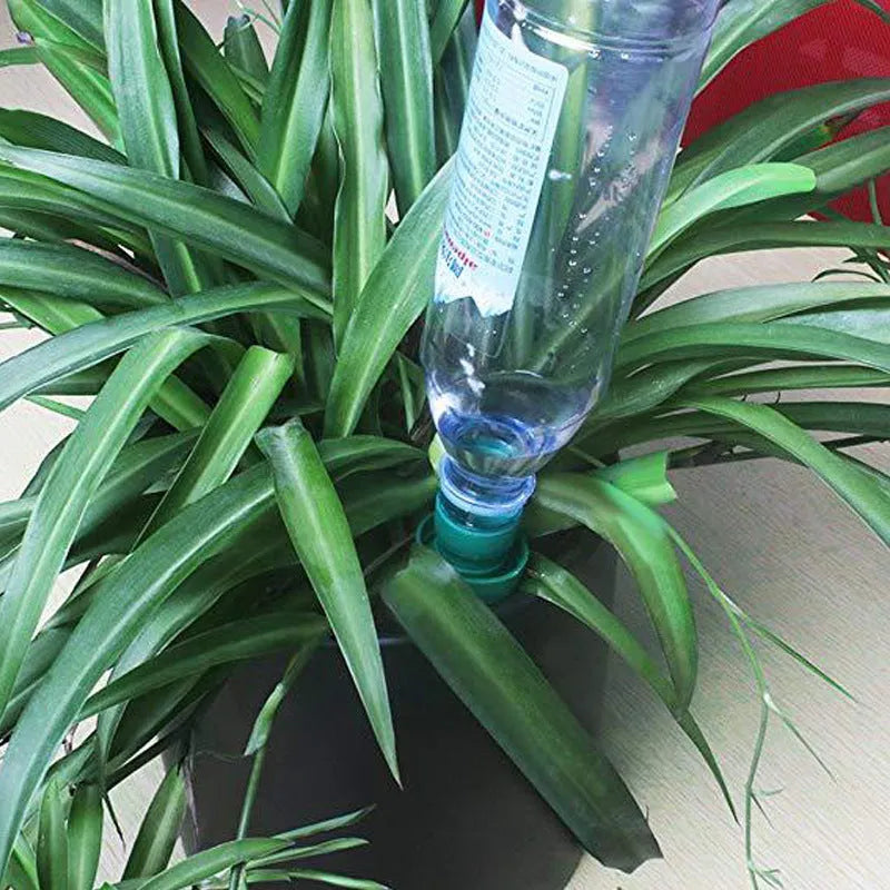 Green ceramic plant water dripper device for automatic irrigation with cola bottles