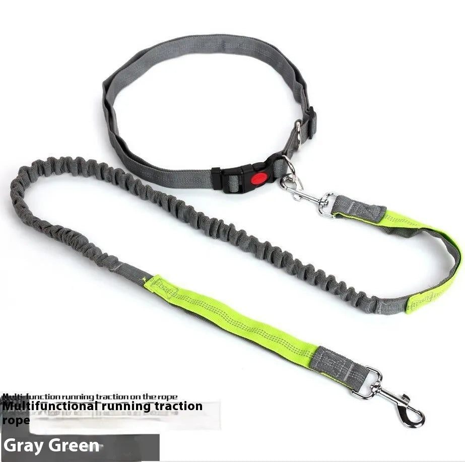 Reflective elastic dog leash with 2.5cm nylon sling in blue and red two-tone colour combination