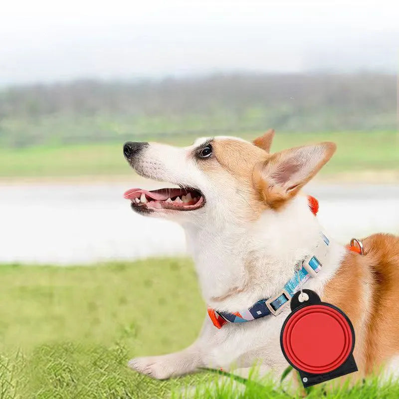 Blue silicone folding double pet bowl showing food and water compartments, collapsed and unfolded views