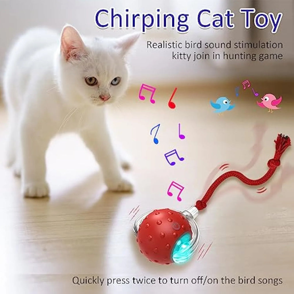 Red plastic interactive cat toy with motion activated chirping rolling on carpet for kittens
