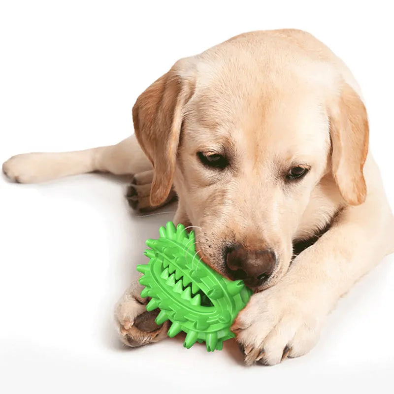 Green cactus-shaped dog toothbrush chew toy for dental care of medium to large breeds