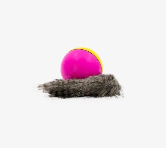 Interactive dog toy set with 8.5cm safety plastic ball and 21cm beaver figure for water play.