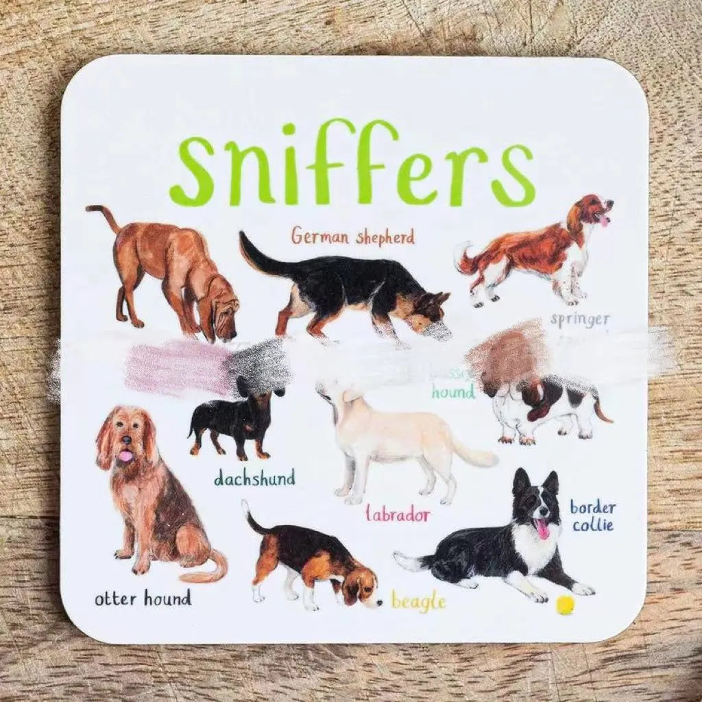 Set of six square bird pun coasters with different bird chart illustrations on white background