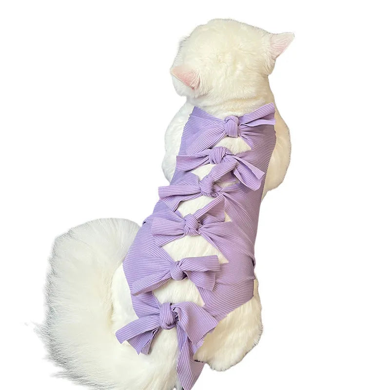 Blue lace-up cat recovery suit on a tabby cat, showing the back closure and full-body fit.