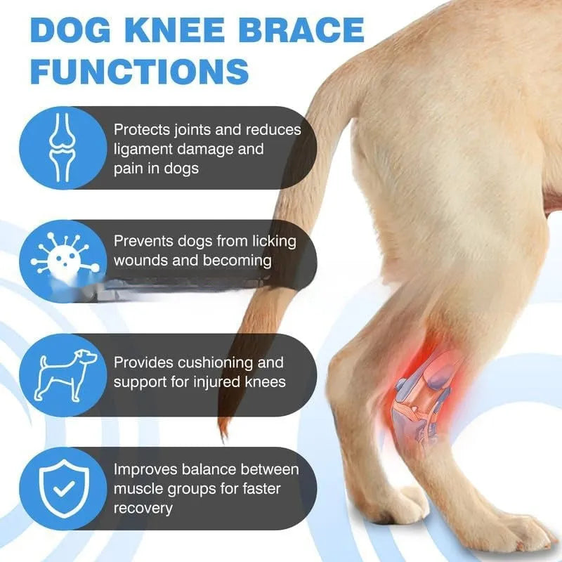 Black polyester dog leg guard for joint support and rehabilitation in sizes L, M, XL.
