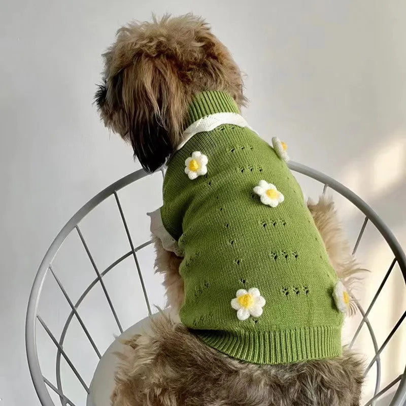 Green floral pet sweater for a small dog, showing the stretch knit material and blossom pattern.