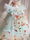 Children's princess dress with flower and butterfly embroidery on bodice in picture colour