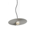 Nordic iron pendant chandelier LED 35cm 40cm 51cm in black gold grey for restaurant bar clothing store