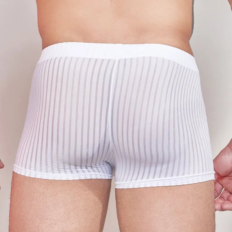 Men's striped underwear in thin transparent nylon fabric, shown in black, white, and dark grey colours.