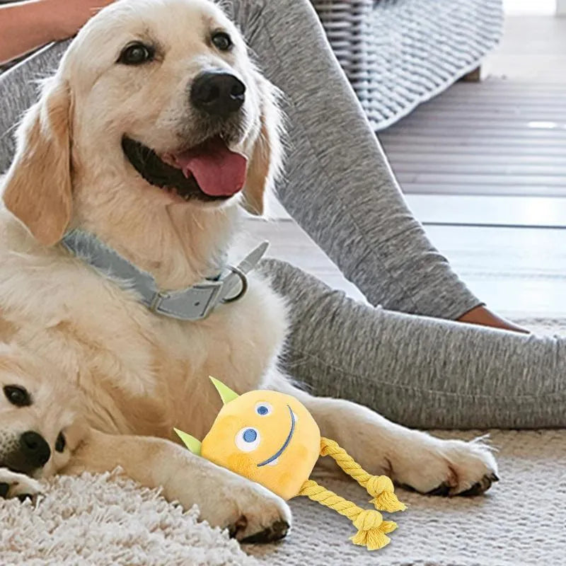Blue and yellow cartoon character dog squeaky toy with strong knot rope design