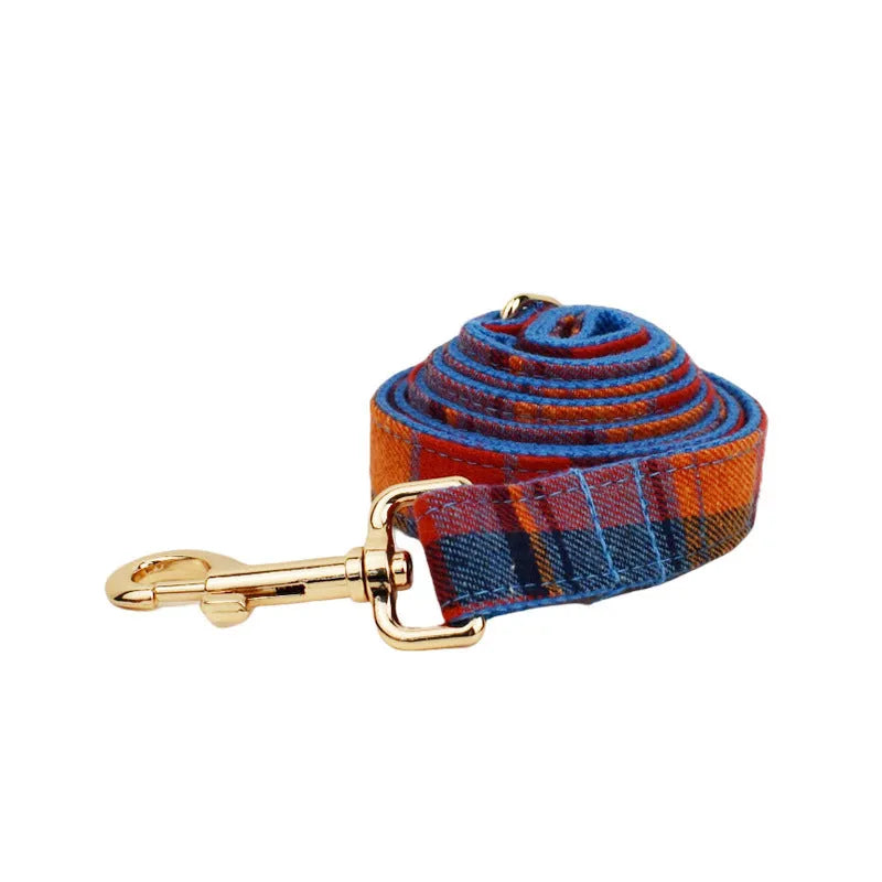 Dog wearing four-piece gentleman fashion set with collar, leash, bow tie and vest in cloth material