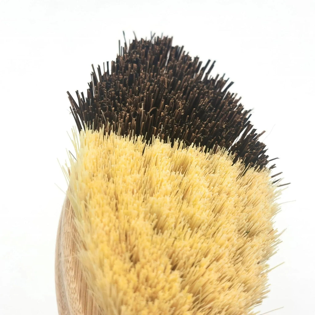 Bamboo two-tone oval vegetable brush for fruit and vegetable cleaning