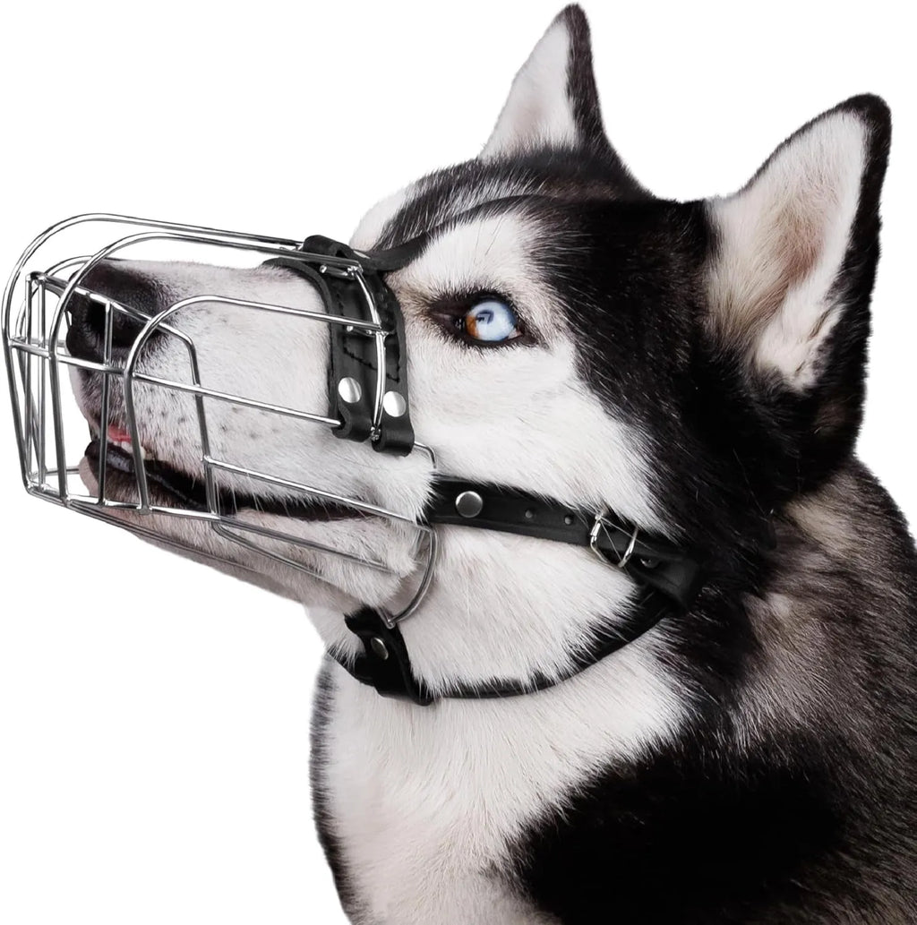 Black zinc-plated steel wire basket muzzle for large dogs, shown with adjustable nylon straps and metal buckles.