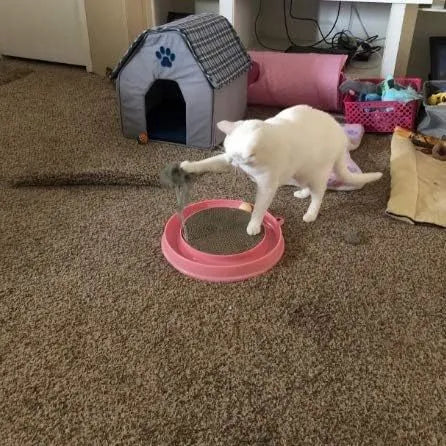 Round blue cat scratcher with track ball and mouse swatter attachment