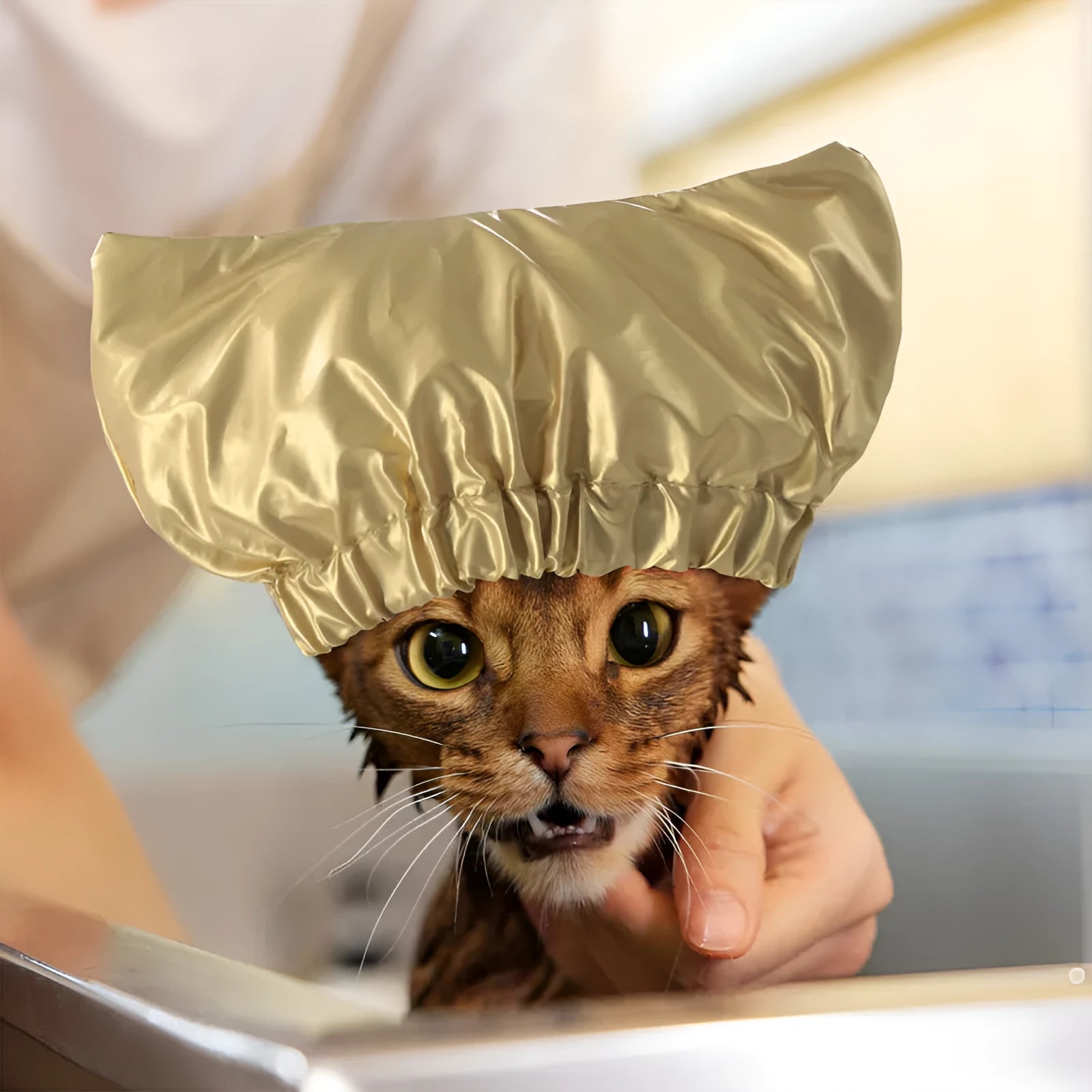 Adjustable waterproof shower cap for cats or dogs in silver, pink, or gold.