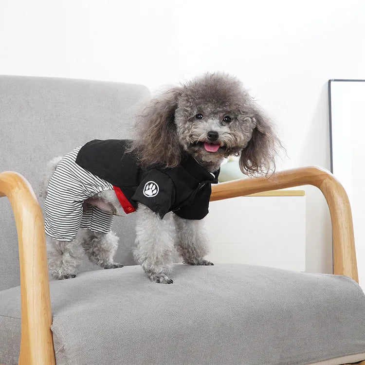 Cotton dog clothes for poodles in skirt or four-legged pants styles for spring and autumn wear
