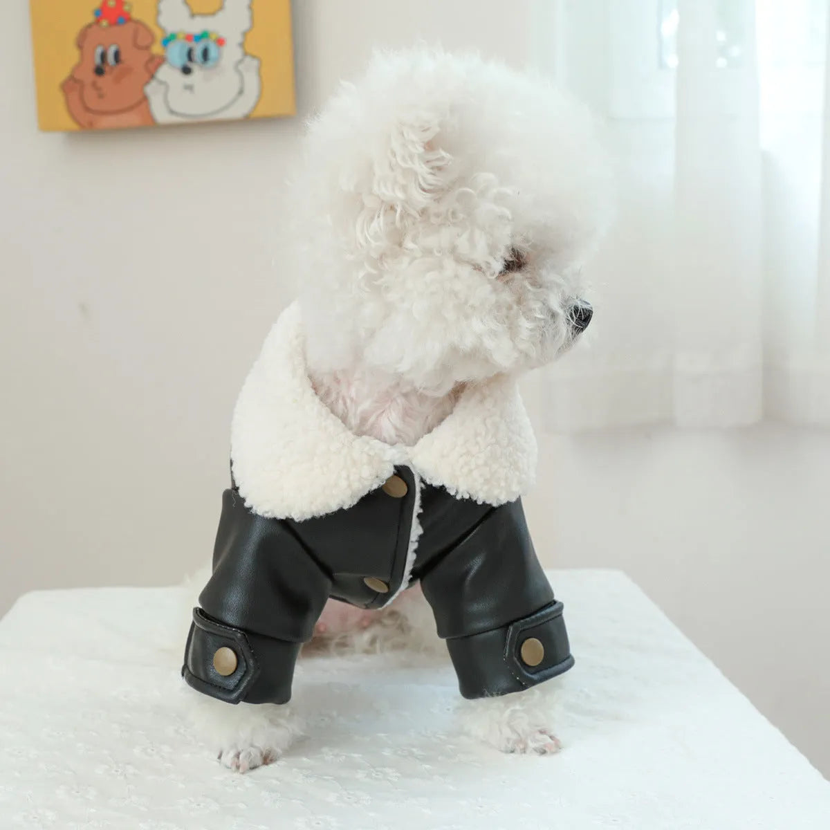 Fleece-lined padded pet coat in beige, black, or suede leather for small dogs and cats