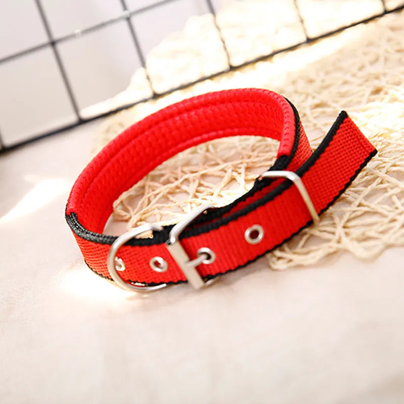 Nylon braid lined dog collar in blue with polypropylene PET foam padding, size 2.0x50cm