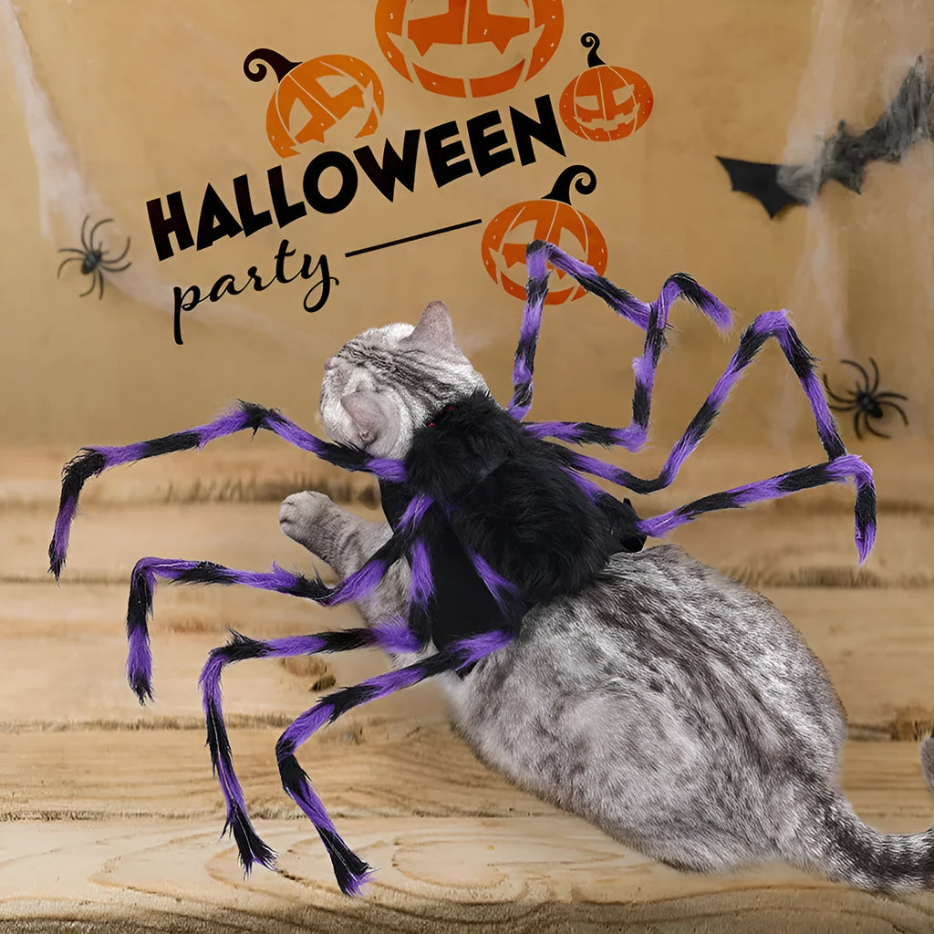 Grey big spider Halloween costume on a dog, showing the four-legged design.