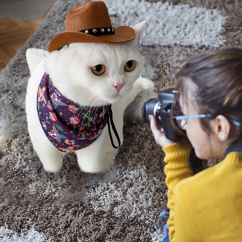 Black star pattern cowboy hat on pet with adjustable strap