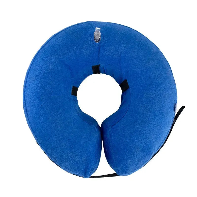 Blue inflatable soft recovery collar for a dog, showing adjustable air valve.