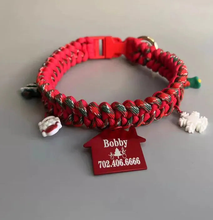 Green rope P chain dog leash with a metal release buckle fastened to a dog collar.