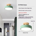 Nordic minimalist ceiling light with wood art body and acrylic shade in Grey, Green, Log, Pink, or White, 20cm to 30cm