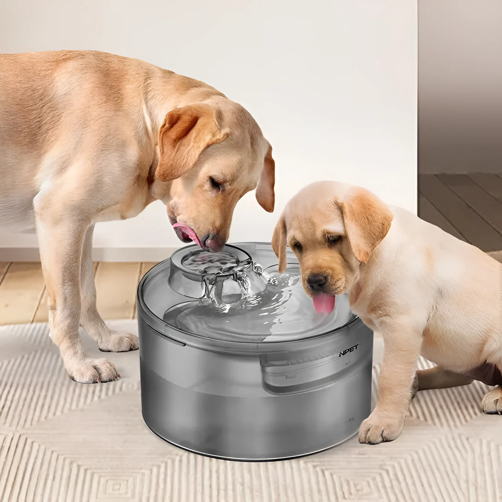 Automatic circulating water dispenser for dogs and cats with filter cartridge.