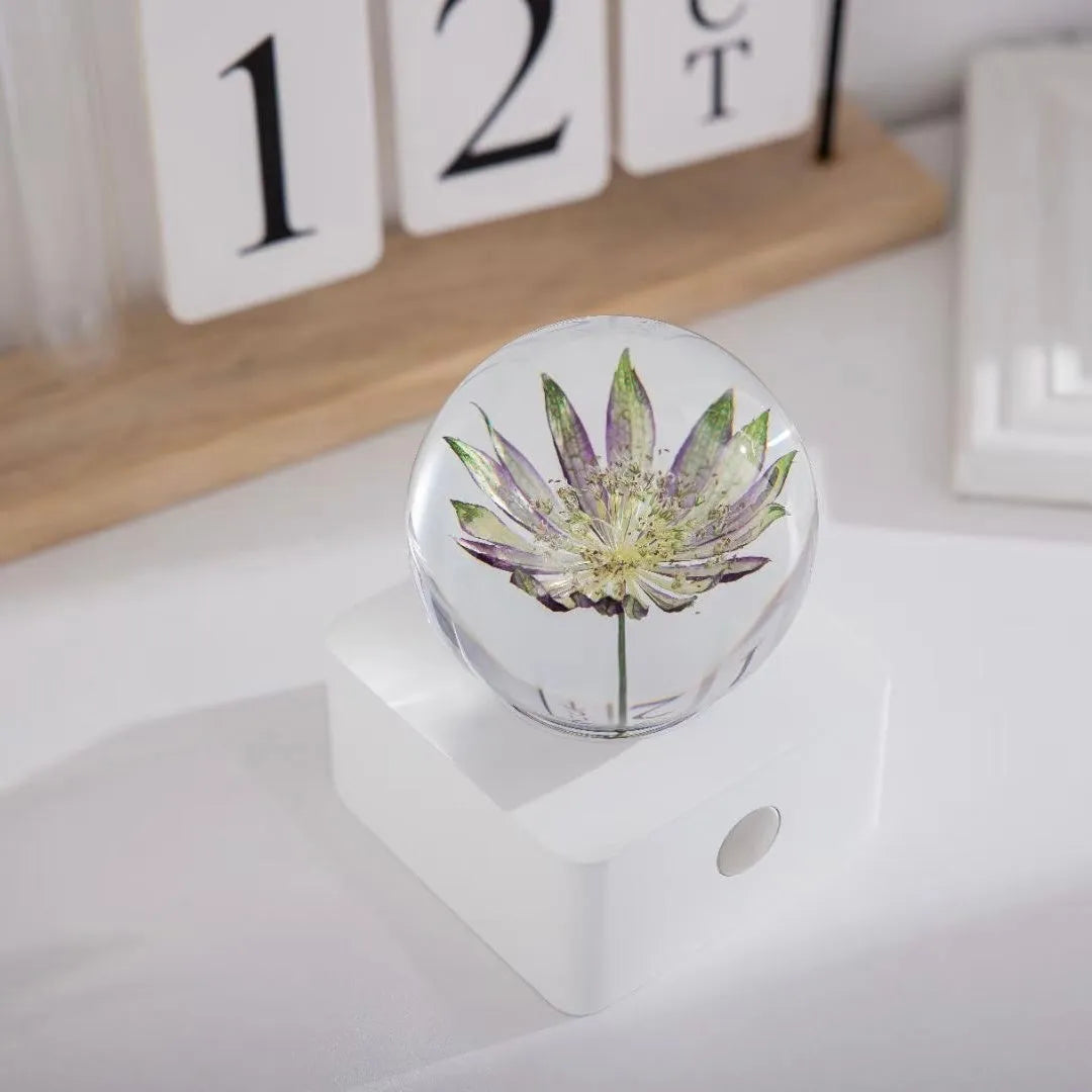 Small 8cm USB night light with a preserved dandelion and sunflower specimen inside, on a desktop.