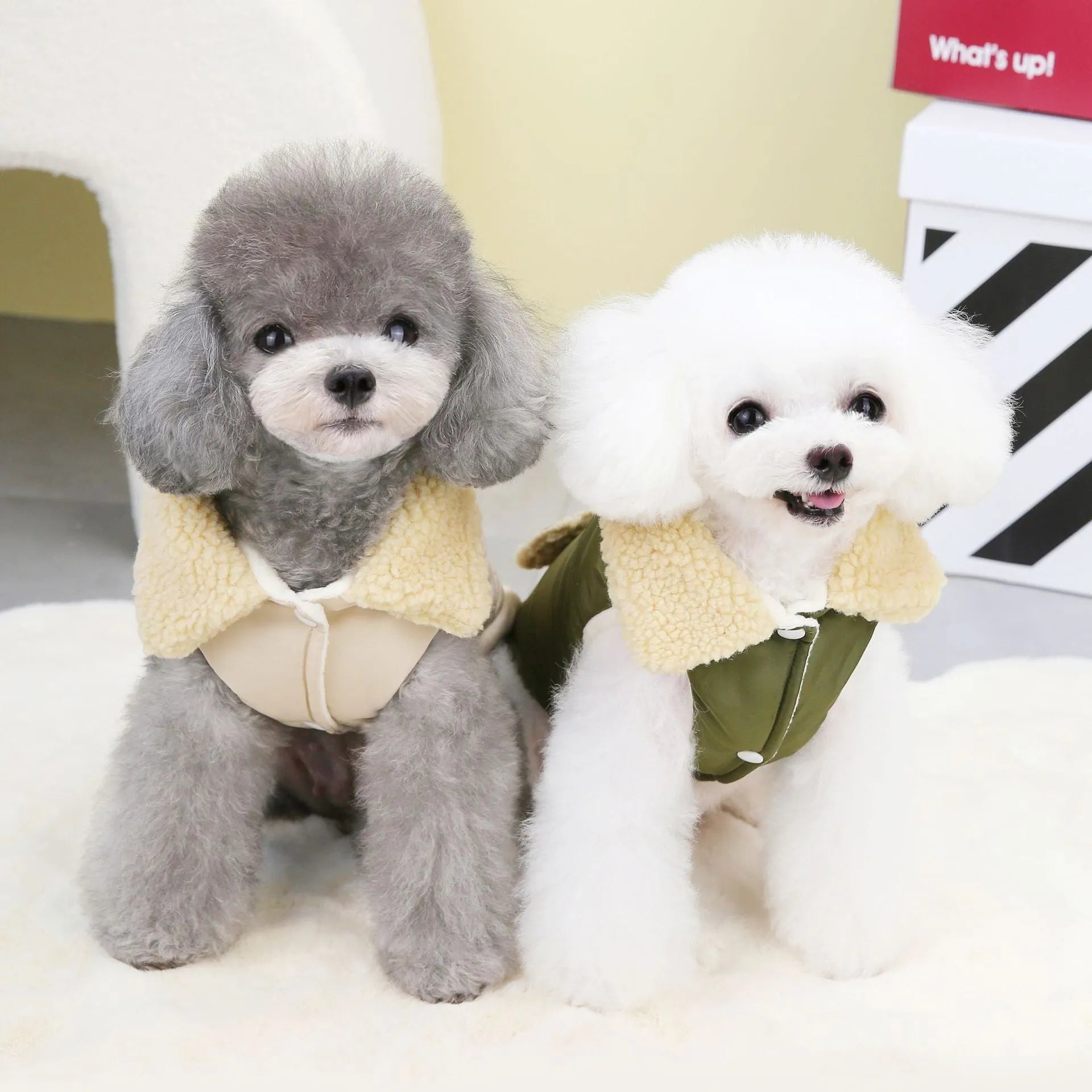 Pet dog cat teddy Nordic fur collar cotton vest in green and khaki, sizes S to XXL, on model