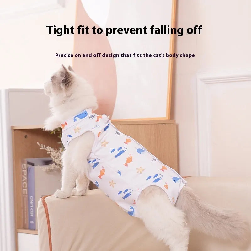 Cat wearing a blue post-operative recovery suit with Velcro fastenings on its side and back.