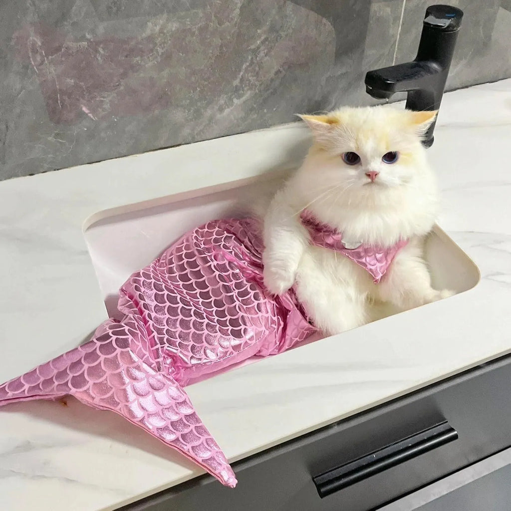 Blue mermaid tail costume with elastic chest strap on a cat, showing colourful scales and fish tail design.