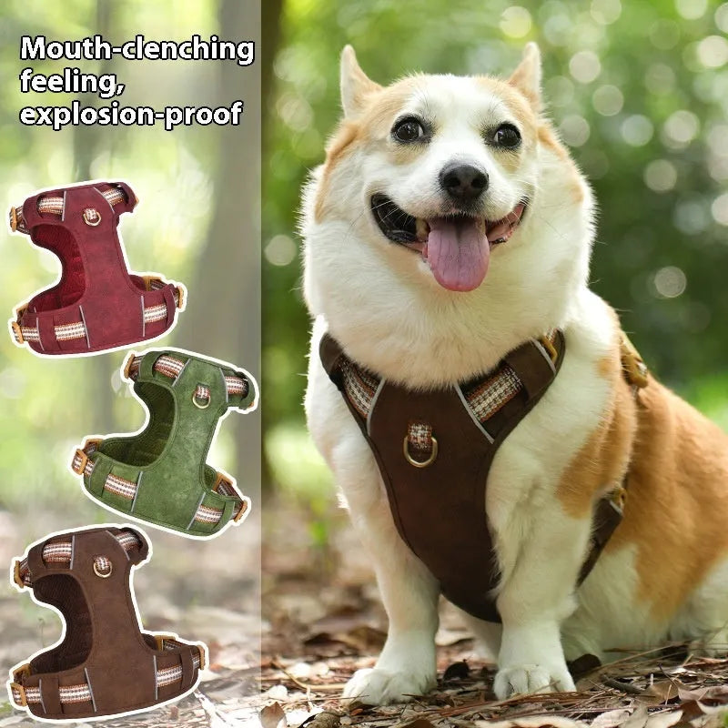 Brown leather dog harness with reflective strips and chest clip.