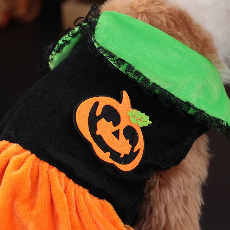 Halloween pumpkin skirt pet costume on small dog with crystal velvet material