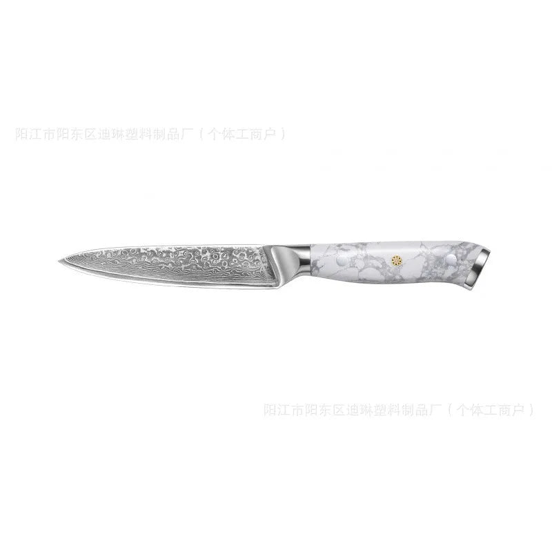 Damascus pattern VG10 steel chef knife with 21cm blade and modern handle